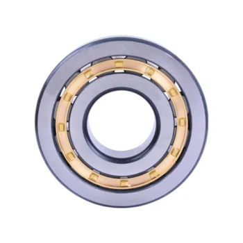 Bdl Cylindrical Roller Bearing Hot Sale Cylindrical Roller Bearing with High Quality