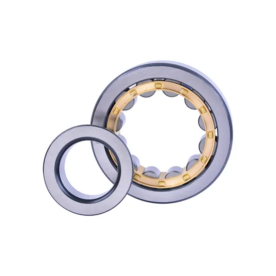 Bdl-Cylindrical-Roller-Bearing-NF305-Cylindrical-Roller-Bearing-for-Electric-Generator