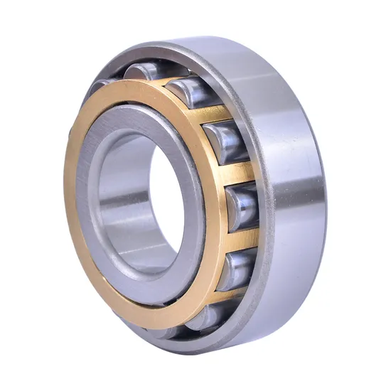 Bdl-Cylindrical-Roller-Bearing-NF305-Cylindrical-Roller-Bearing-for-Electric-Generator