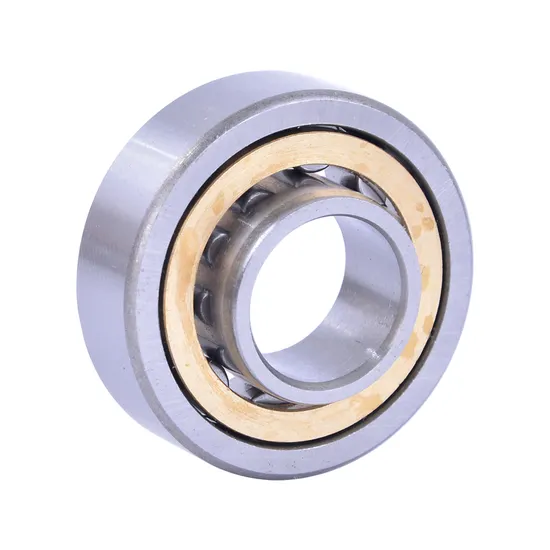 Bdl Cylindrical Roller Bearing Nj305/C3 Cylindrical Roller Bearing for Reduction Gearbox