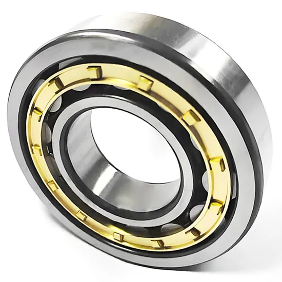 Bdl-Cylindrical-Roller-Bearing-Nj305etn1-Cylindrical-Roller-Bearing-for-Vibrating-Screen