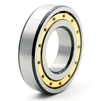 Bdl Cylindrical Roller Bearing Nj305etn1 Cylindrical Roller Bearing for Vibrating Screen