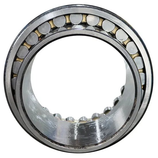 Bdl-High-Precision-Double-Row-Cylindrical-Roller-Bearing-Nn3008-Nn3009-Nn3010-P5-P4-W33