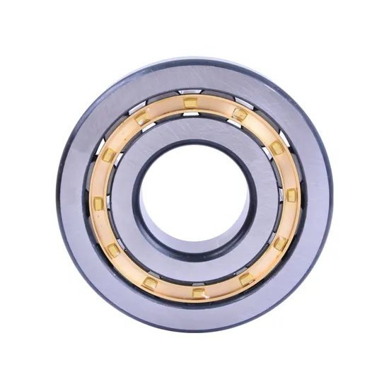 Bdl-High-Precision-Double-Row-Cylindrical-Roller-Bearing-Nn3034K-Nn3036K-Nn3038K-P5-P4-W33