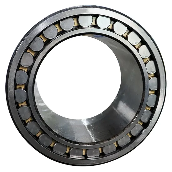 Bdl High Precision Double Row Cylindrical Roller Bearing Nn3044 Nn3048 Nn3052 P5 P4 W33