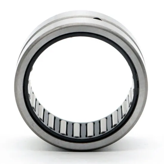 Bdl Needle Roller Bearing Nk26/20 Nk28/20 Nk28/30 Needle Bearings
