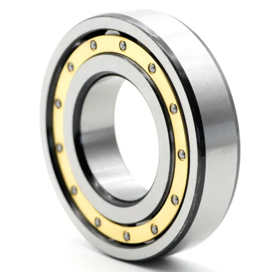 Bdl-Nu2240-Direct-Supply-Cylindrical-Roller-Bearing-for-Machine-Tool-Spindle