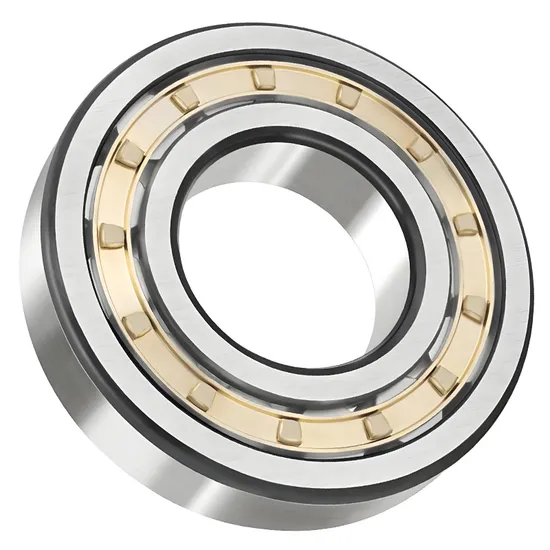 Bdl Roller Bearing N305 Cylindrical Roller Bearing for Machine Tool Spindle