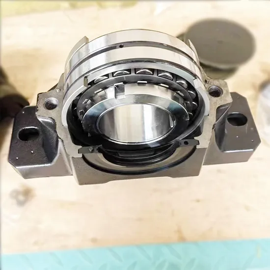 Bearing Block Snl516-613+2313 Housing Bearing Combination with Accessories.