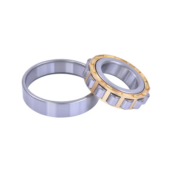 Best Selling High Precision Cylindrical Roller Bearing N309 Nu309 NF309 Nj309 Nup309