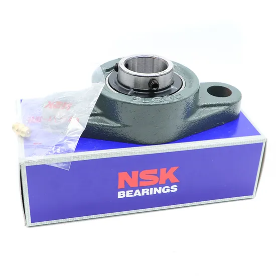 China-Bearing-Bdl-Brand-Pillow-Block-Bearing-OEM-Customized-Ucpa200-Ucpa201-Ucpa202-High-Temperature-Bearing-Steel-Material-Vertical-High-Pedestal-Bearing