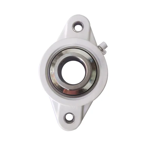 China-Factory-Plastic-House-Stainless-Steel-Material-Pillow-Block-Bearing