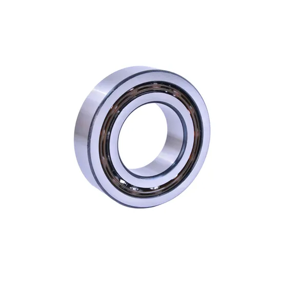 Cycloidal-Reducer-Half-Axis-3302-a-2RS1tn9-Mt33-Double-Row-Angular-Contact-Ball-Bearing