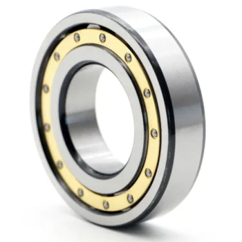 Cylindrical Roller Bearing Nu1005 Nu1006 Nu1007 Nu1008.
