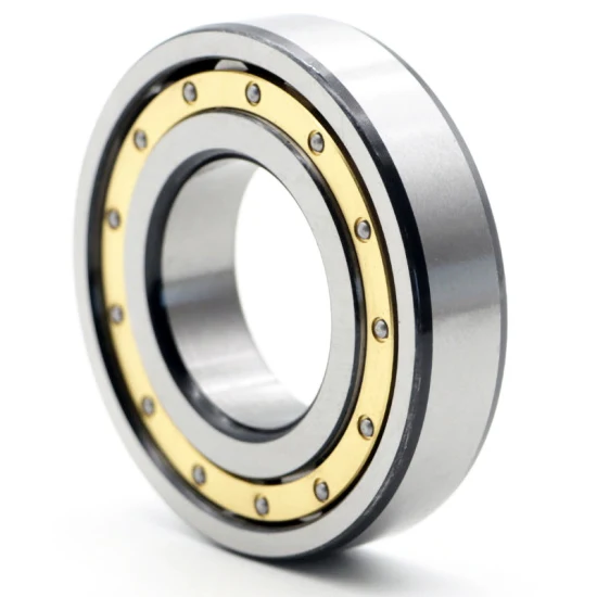 Cylindrical Roller Bearing Nu1005 Nu1006 Nu1007 Nu1008.