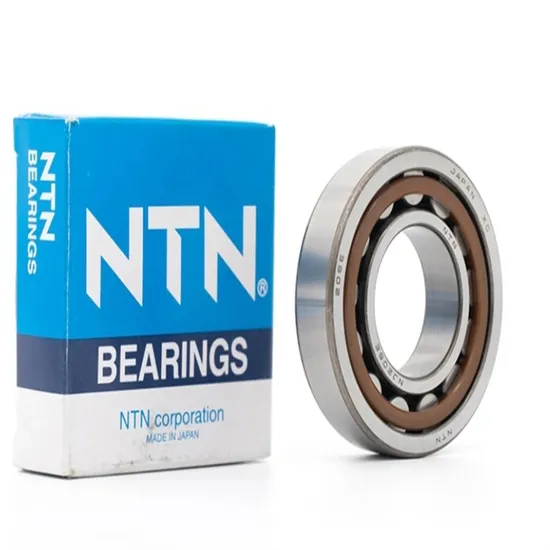 Cylindrical-Roller-Bearing-Nu311e-Nu312e-Nu313e-Nu314e-Nu415e-Nu316e-Bearing