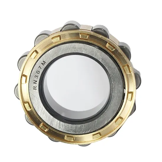 Cylindrical Roller Bearing Rn203/Rn204/Rn206m/Rn307m/Rn205e/Rn308/Rn309e/Rn312/Rn219/Rn222/Rn228 Without Outer Ring