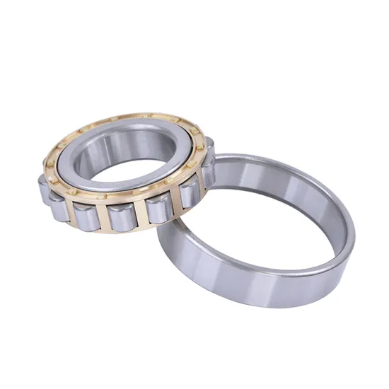 Durable-and-Sturdy-High-Precision-Nu-Series-Nu205-Cylindrical-Roller-Bearing