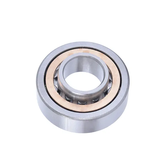Durable-and-Sturdy-High-Precision-Nu-Series-Nu205-Cylindrical-Roller-Bearing