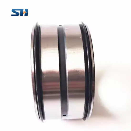 Full-Complement-Cylindrical-Roller-Bearings-SL185024PP-SL185015PP