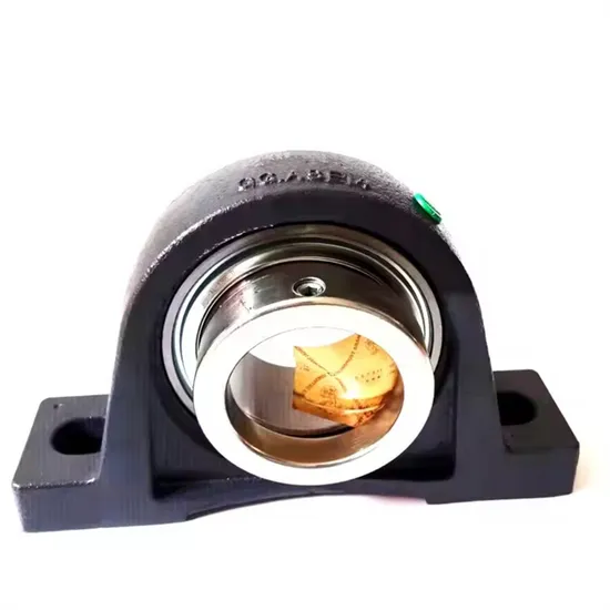 Germany-Plummer-Block-Housing-Units-Insert-Bearing-Rase70-Rase70-XL