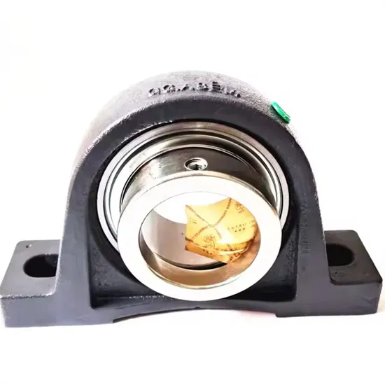 Germany Plummer Block Housing Units Insert Bearing Rase70 Rase70-XL