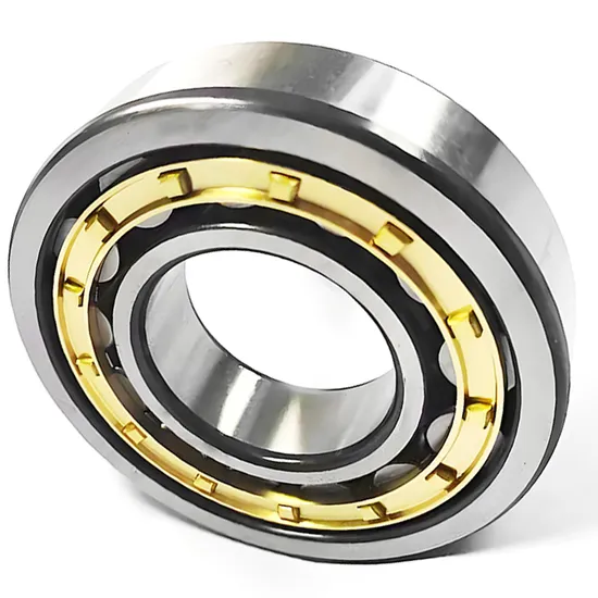 High Precision Bdl Cylindrical Roller Bearing Nn3011 Nn3012 Nn3013