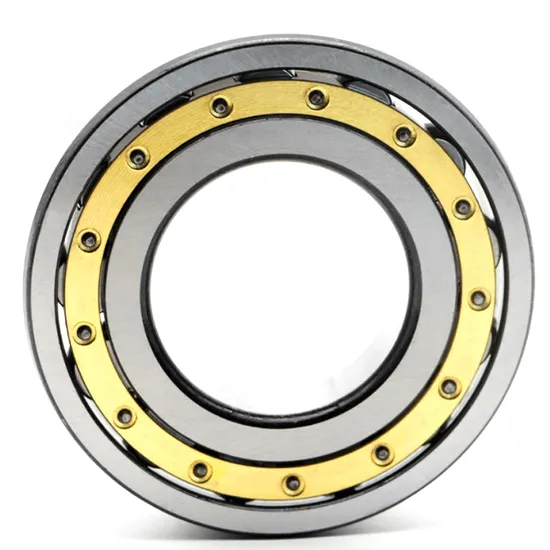 High Precision Nj318em NF318em Nu318em Series Bearing Cylindrical Roller Bearing