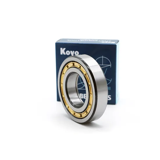Koyo-Timken-NSK-Roller-Bearing-N318em-N319em-N320em-Cylindrical-Roller-Bearing