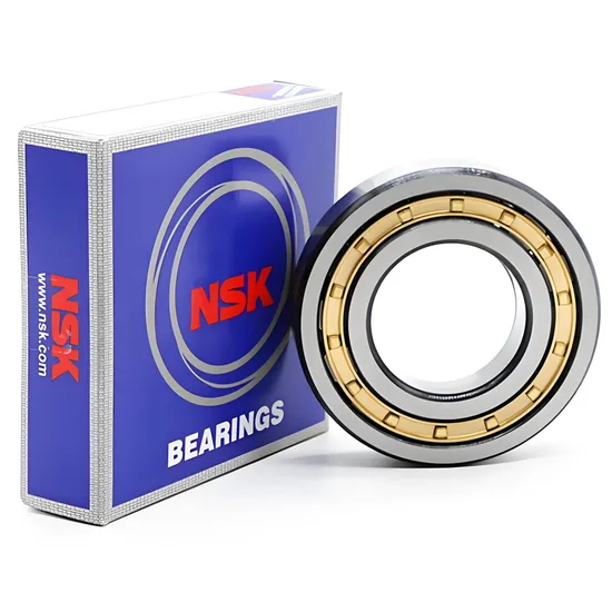 NSK-Koyo-NTN-Roller-Bearing-NF303em-NF304em-NF305em-Cylindrical-Roller-Bearing
