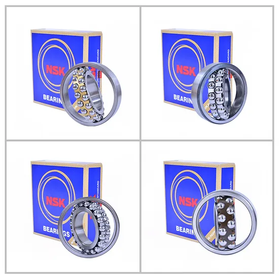 NSK-NTN-IKO-Koyo-NACHI-Bdl-Self-Aligning-Ball-Bearings-1200tni-for-Precision-Instruments-Low-Noise-Motors-