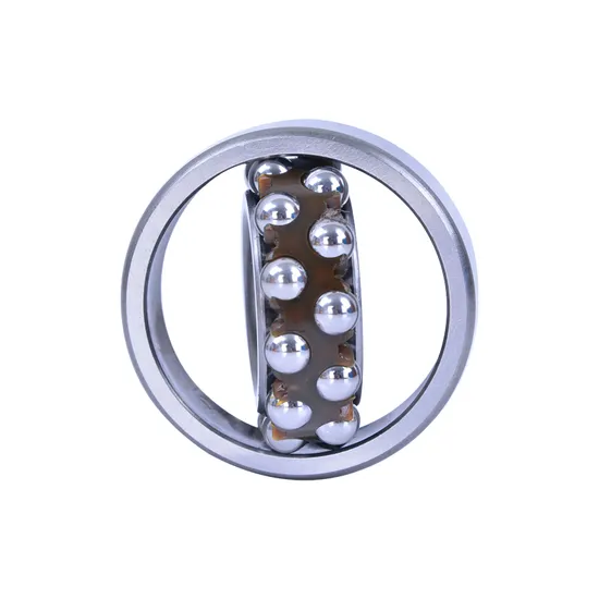 NSK-NTN-IKO-Koyo-NACHI-Bdl-Self-Aligning-Ball-Bearings-1205-1205tni-for-Metallurgy-Rolling-Mills-Mines-Petroleum-Paper-Cement-