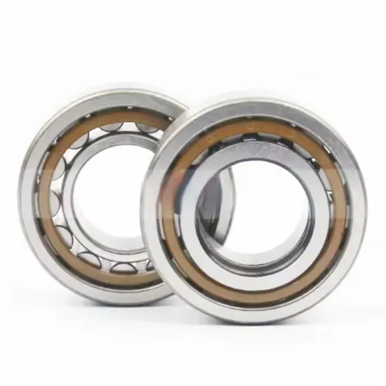 NTN Cylindrical Roller Bearings Nj204et2xc3 20X47X14mm Nylon Cage Reducer Gearbox Roller Bearings Nj 204 Et2xc3 Nj204e Nj204
