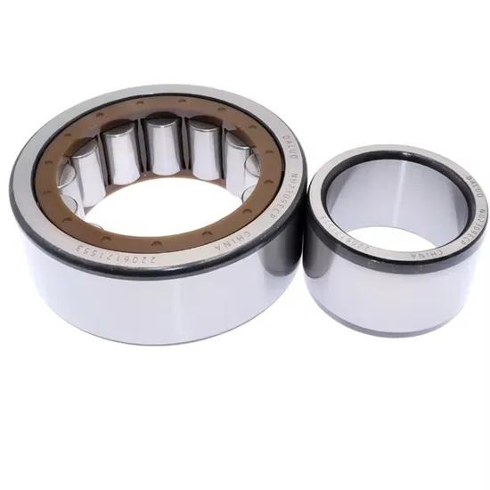 Nu2309ecp-45X100X36-45-100-36-32609-Single-Row-Cylindrical-Roller-Bearing