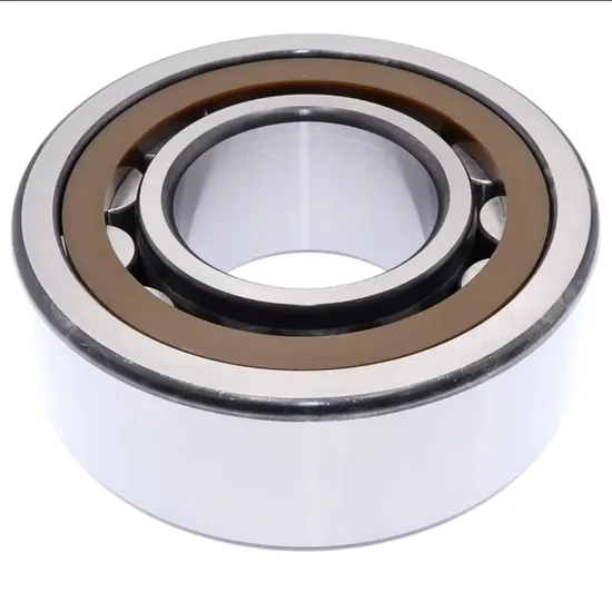 Nu2309ecp-45X100X36-45-100-36-32609-Single-Row-Cylindrical-Roller-Bearing