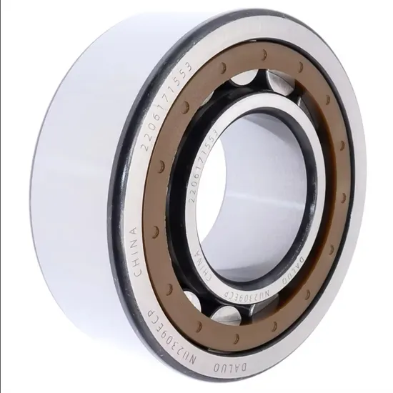 Nu2309ecp-45X100X36-45-100-36-32609-Single-Row-Cylindrical-Roller-Bearing