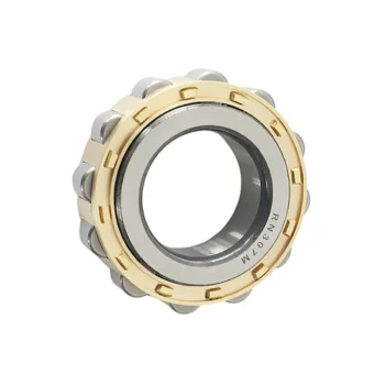 Rn309m/Rn307m/Rn309/Rn312 Bearing 205/206 Japan Original Package Cylindrical Roller Bearings