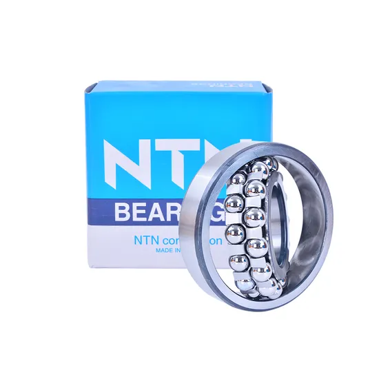 Self Aligning Ball Bearings NSK NTN IKO Koyo NACHI Bdl 1206 1206tni for Heavy Load and Impact Load, Precision Instruments.
