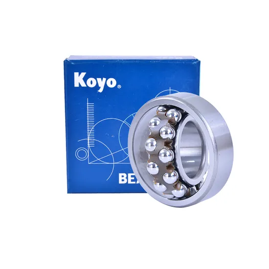 Self Aligning Ball Bearings NSK NTN IKO Koyo NACHI Bdl 1209 1209tni for Low-Noise Motors, Automobiles, Motorcycles.