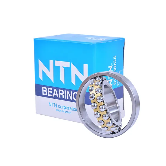 Self-Aligning-Ball-Bearings-NSK-NTN-IKO-Koyo-NACHI-Bdl-1309-1309tni-for-Sugar-and-Other-Industries-and-General-Machinery-