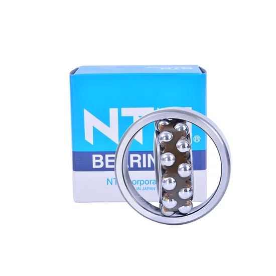 Self Aligning Ball Bearings NSK NTN IKO Koyo NACHI Bdl 2309 2309tni for Low-Noise Motors, Automobiles, Motorcycles, Metallurgy.