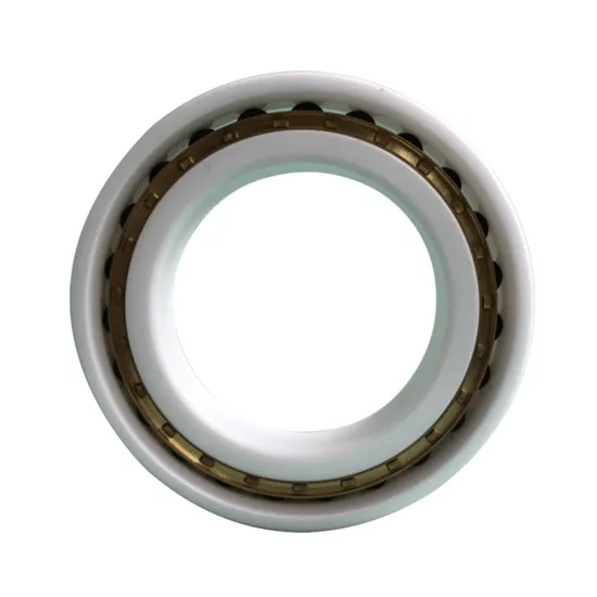 Silicon-Nitride-Zirconia-High-Strength-Printing-Machinery-Ceramic-Bearings